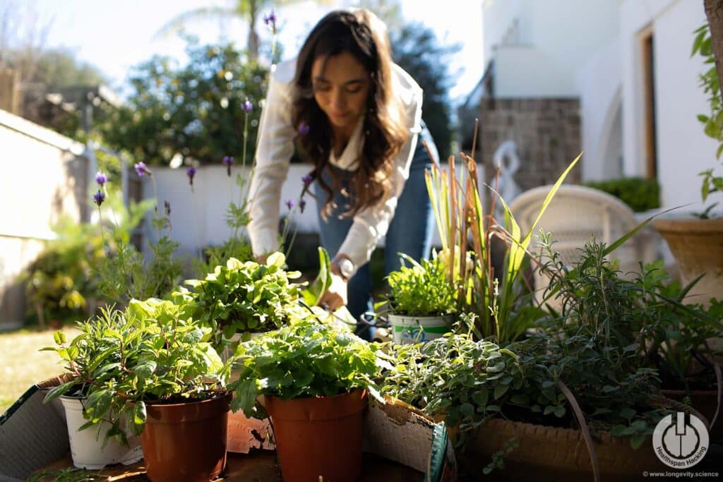סביבה ואריכות ימים: איך סביבתנו משפיעה על אורך חיינו
